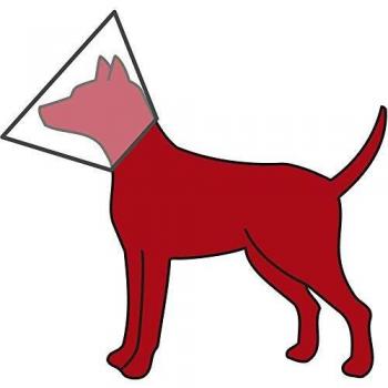 Trixie Protective Collar, X-Small