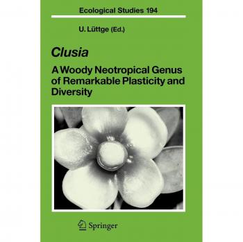 Clusia