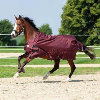 Kavalkade Pferde‑Sitzfläche 145 cm