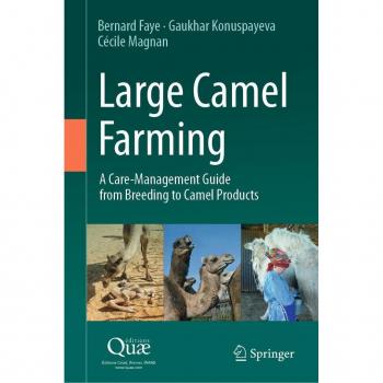 Large Camel Farming