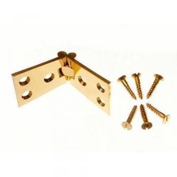 25 in X 4 in Brass Counter Flap Hinge with Screws