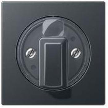 JUNG A-range Drehbedienaufsatz anthrazit