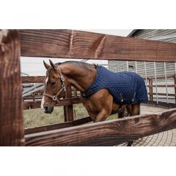Manta de paseo para caballos 160g