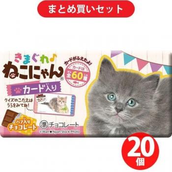 Shoei Chat Enchanté 1 pièce x 20 ensembles Chocolat 1