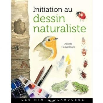 Initiation au dessin naturaliste