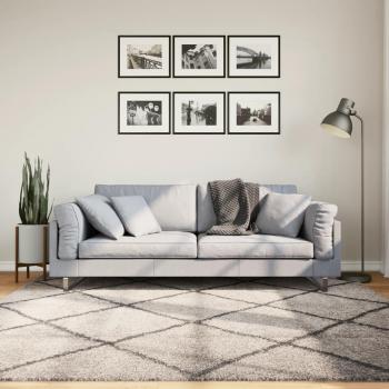 VidaXL Shaggy Rug High Pile Modern Beige and Anthracite 200x200 cm