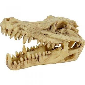 Décoration Aquatique Crâne de Crocodile L 13 x P 6 x H 8 cm