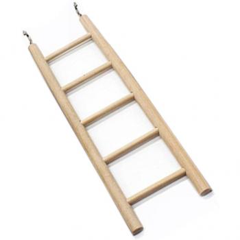 Parrot Climbing Ladder