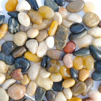 Piedras Naturales para Paisajismo 500g