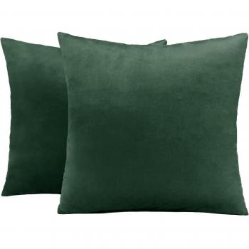 Set of 2 Green Matte Velvet Cushions