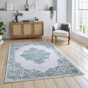 Artemis Modern Vintage Shaggy Area Rug in Green