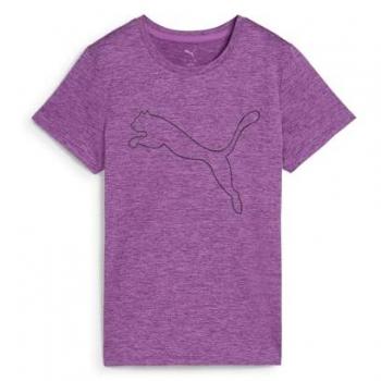 Puma Damen Sport T-Shirt W TAD Heather Logo Tee L
