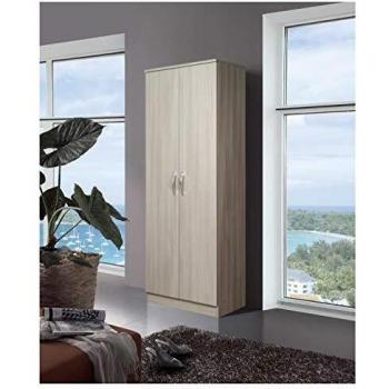 Armoire à Chaussures 2 Portes avec Étagères Intégrées