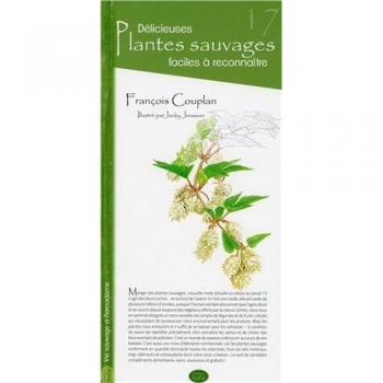 Délicieuses plantes sauvages faciles à reconnaître