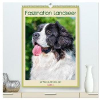Faszination Landseer