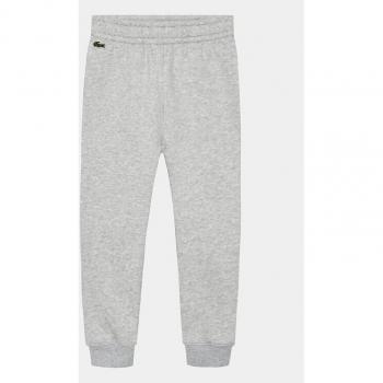 Lacoste Kinder Jogginghose Grau Regular Fit