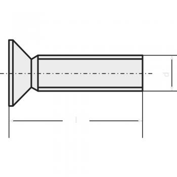 Vis TOOLCRAFT tête fraisée cruciforme M4