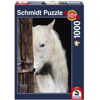 Puzzel de Beauté Equine