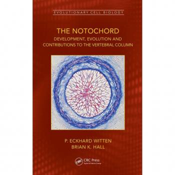 The Notochord