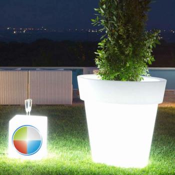 Vase lumineux LED résine H45 – Begonia Tondo, couleurs vives