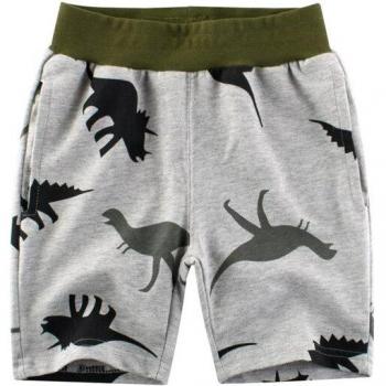 100% Cotton Dinosaur Kids Sport Knickers