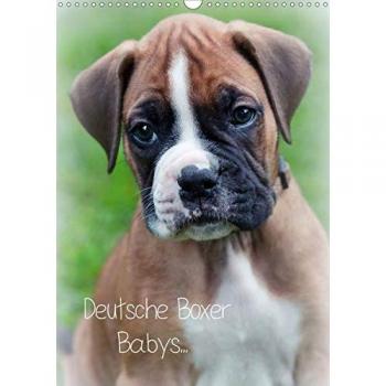 Deutsche Boxer Babys...