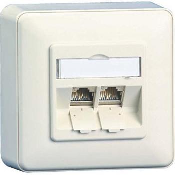 BTR NETCOM Anschlussdose, Cat.6A 2xRJ45,AP,rws TN E-DATmod-2AP-rws