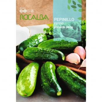 Seme di Pepinillo Wisconsin SMR 58 25g in Pack 5x – Rocalba