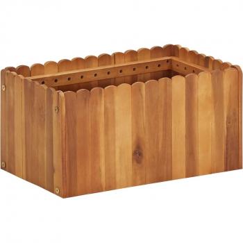 Macizo Acacia Arriate Jardinero 50x30x25