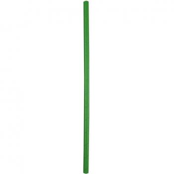 NatureStar Papiertrinkhalme Bio Jumbo 8x250mm grün