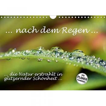 ... nach dem Regen ... die Natur erstrahlt in glitzernder Schönheit