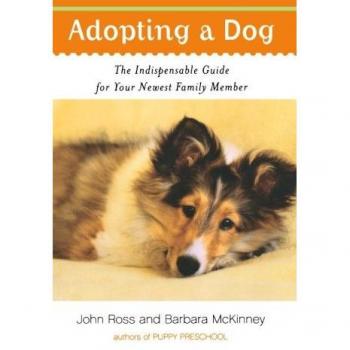 Ross, John: Adopting a Dog