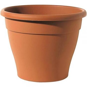 Bateau de plante Minerva Telcom 28×35 cm