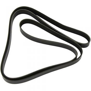 Dayco 8PK2512 Poly V-Belt