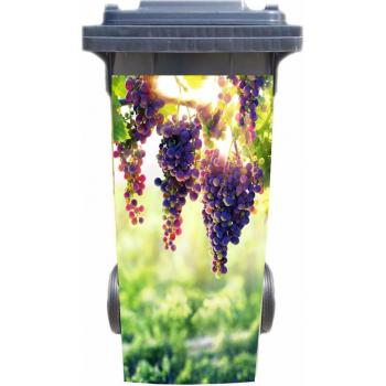 Tira Adhesiva Removible para Árbol de Vino