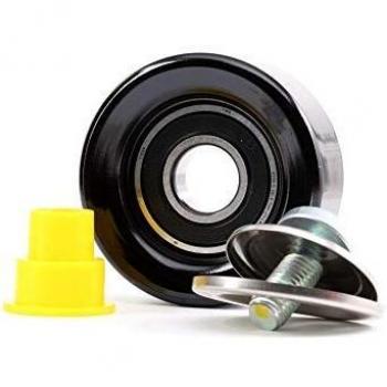 Cinghia Poly-V INA 532063910