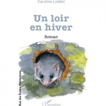 Un loir en hiver