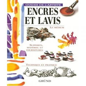 Mercedes Braunstein Encre Et Lavis (Guides De L'Art)