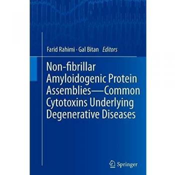Non-fibrillar Amyloidogenic Protein Assemblies