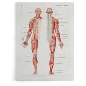Neural Network Illustration – Artery8 18x24 Canvas Wall Decor