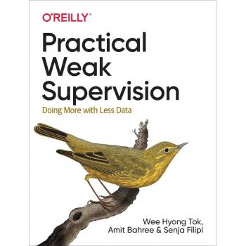 Vitalsource Technologies, Inc. Practical Weak Supervision