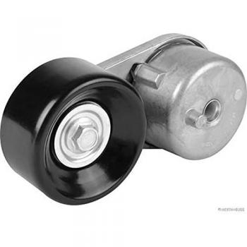 Tensor de Correa Poly V HERTH+BUSS 1141062