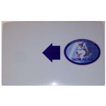 KBM05 256 Ko 12C Chip Card per Centrale ECP