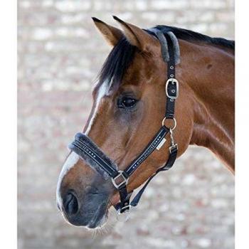 Waldhausen Cob Fur-Trimmed Halter