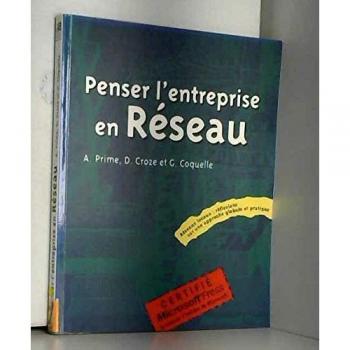 Penser l'entreprise en réseau
