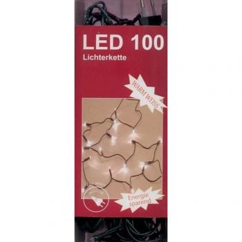 Gemütliche Lichterkette 100LED warmweiß für die Weihnachtszeit
