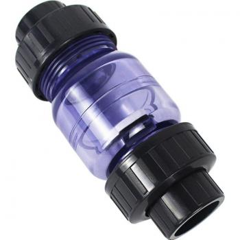 1 Inch True Union Swing Check Valve