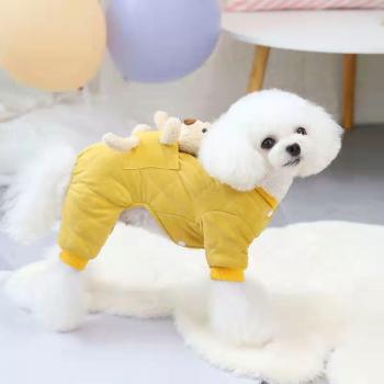 Manteau pour bouledogue français