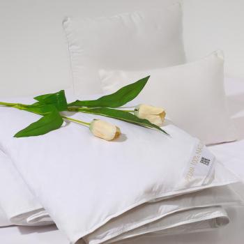 Piumino Matrimoniale Decasa, piume d'anatra, 300 g/m², 240 x 220 cm, Bianco