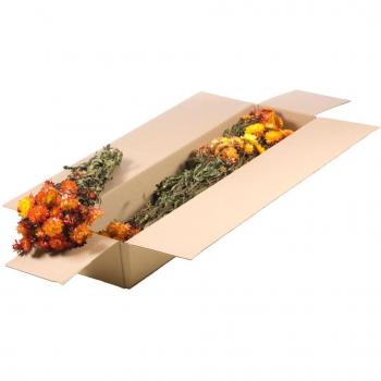 Ensemble de Fleurs Séchées Orange Helichrysum